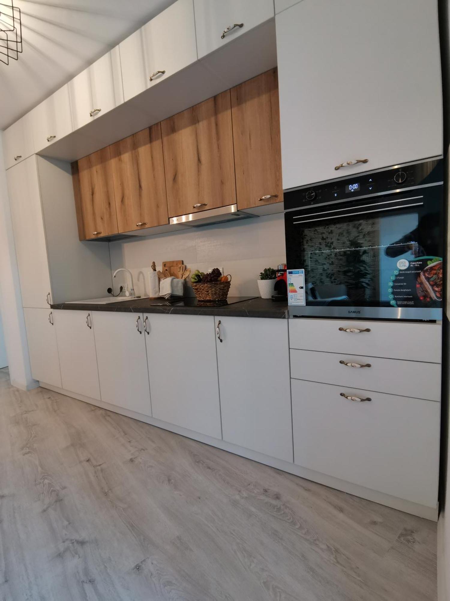 City Center Accommodation - 108 レシツァ エクステリア 写真