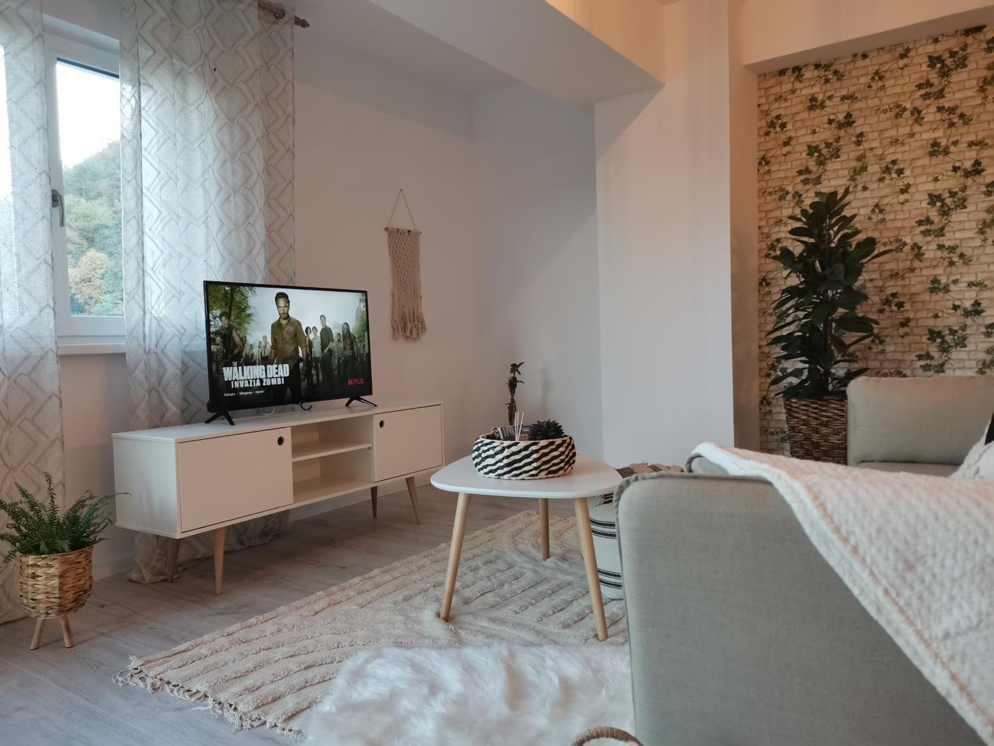 City Center Accommodation - 108 レシツァ エクステリア 写真